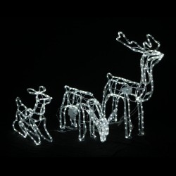 36V LED Motorised Reindeers Set 3s Sitting, Eating & Standing - White L73xW79xD35, L77xW46xD19, L43xW34xD12 **NEW TWINKLE EFFECT**
